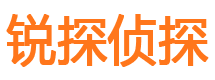 庆安市私家侦探